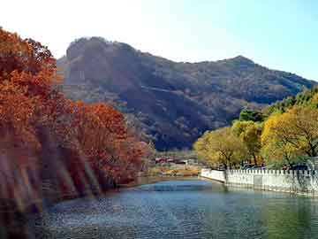 新澳天天开奖资料大全旅游团，安泽seo建站